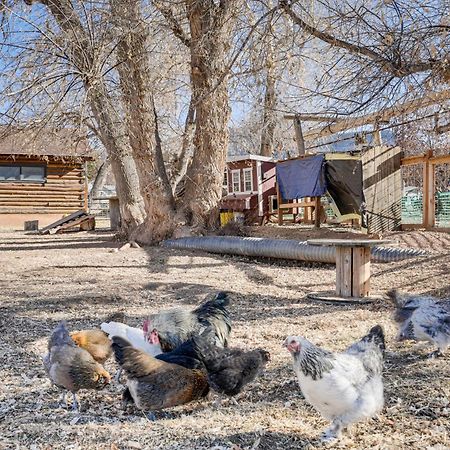 Cozy Parowan Studio 12 Mi To Brian Head Resort! Ngoại thất bức ảnh