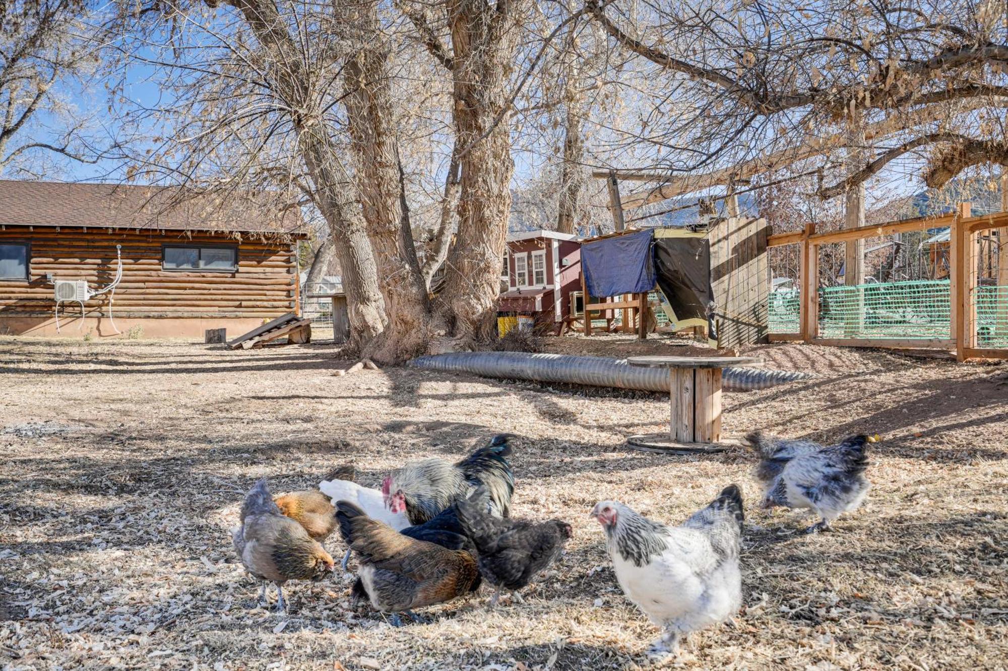 Cozy Parowan Studio 12 Mi To Brian Head Resort! Ngoại thất bức ảnh