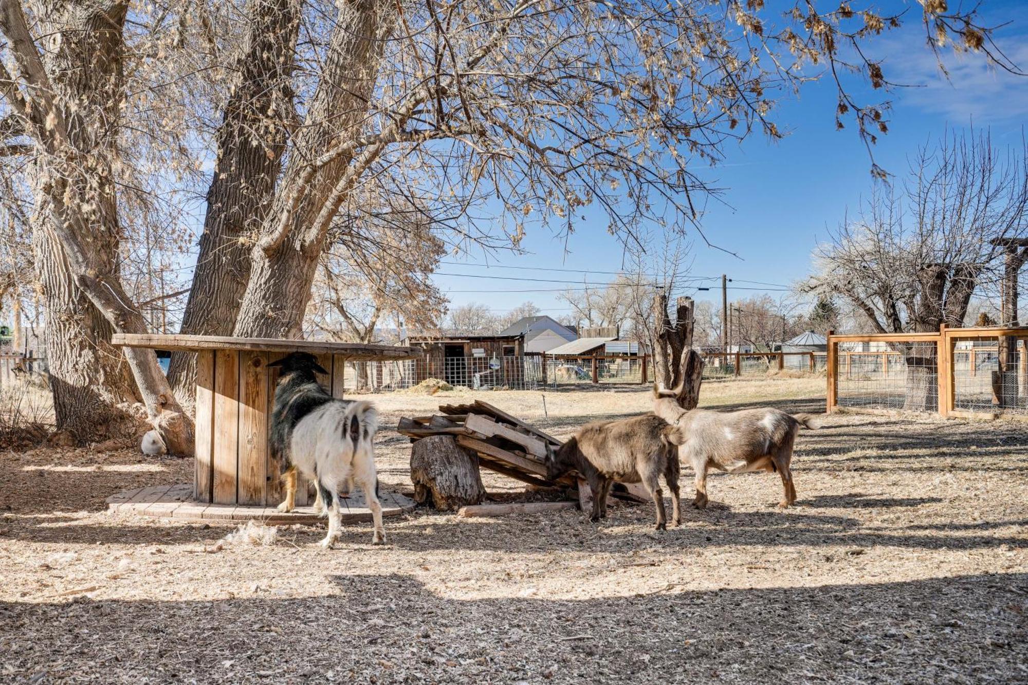Cozy Parowan Studio 12 Mi To Brian Head Resort! Ngoại thất bức ảnh